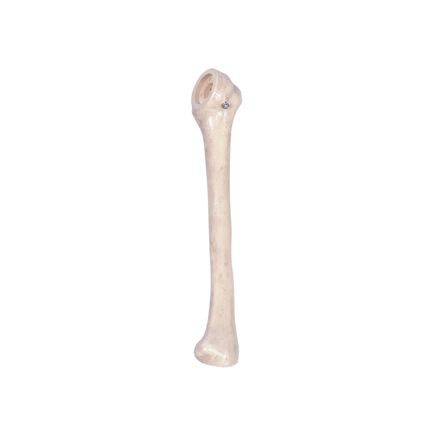 8 ft. Giant Animated Skeleton
