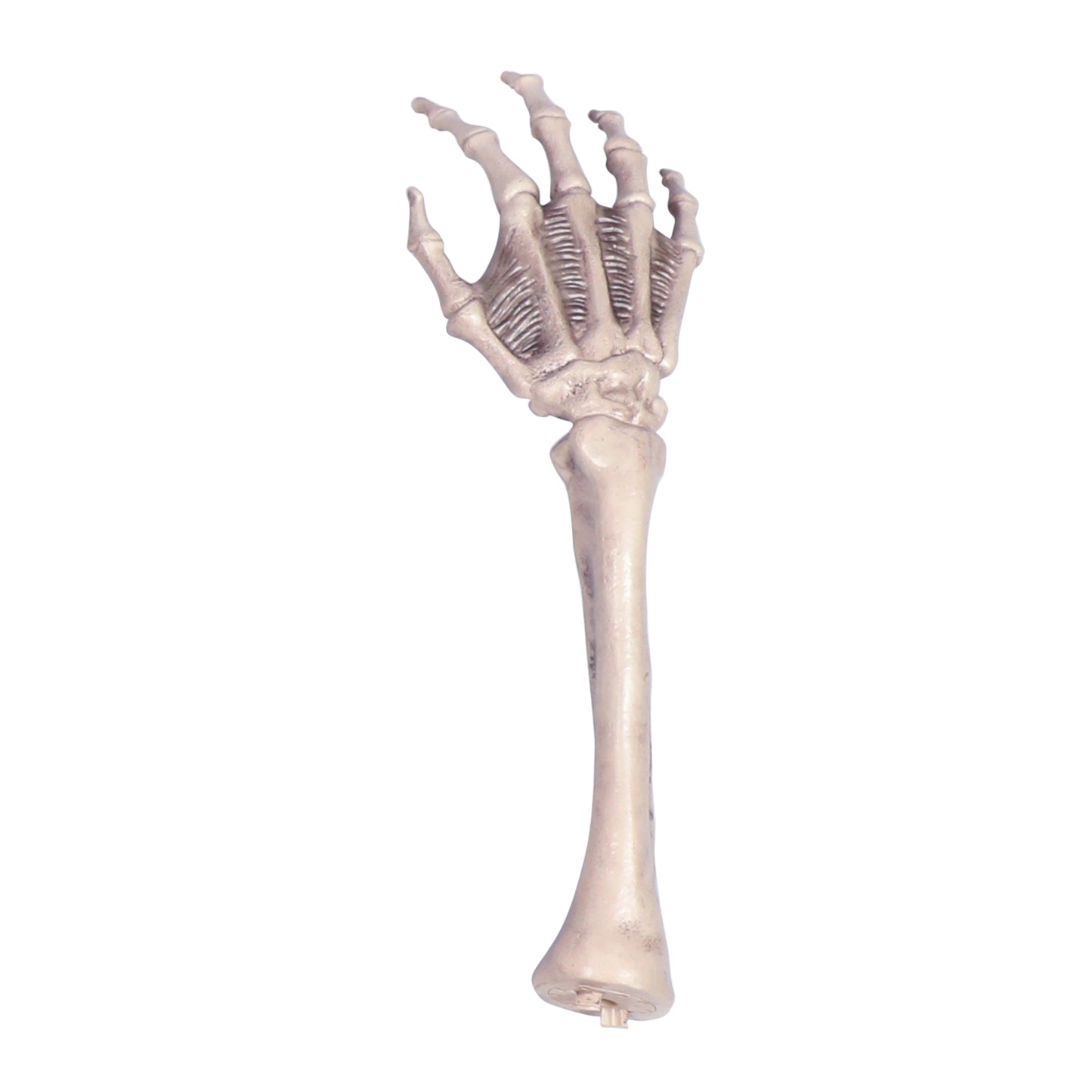 8 ft. Giant Animated Skeleton