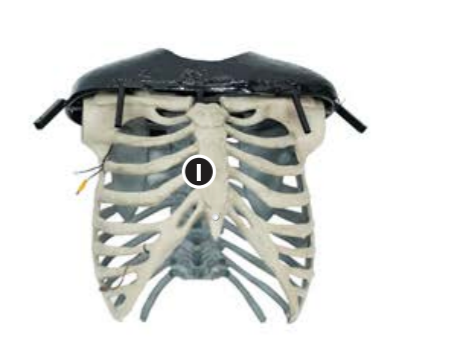 10 ft. Skeleton Arch