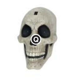 10 ft. Skeleton Arch