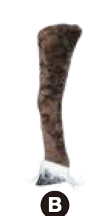 4.5 ft. Animated Reindeer