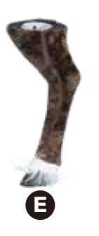 4.5 ft. Animated Reindeer
